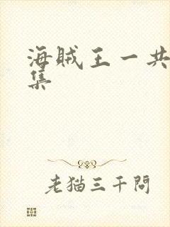 海贼王一共多少集封面