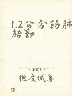 1.2公分的肺结节