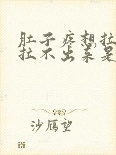 肚子疼想拉屎但拉不出来是怎么回事