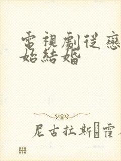 电视剧从恋爱开始结婚