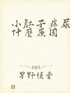 小肚子疼尿黄是什么原因封面