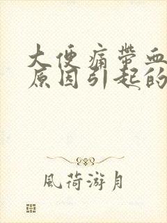 大便痛带血什么原因引起的