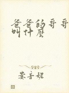 爸爸的哥哥弟弟叫什么