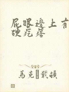 屁眼边上有一个硬疙瘩封面