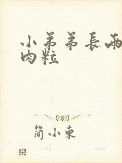 小弟弟长两个小肉粒