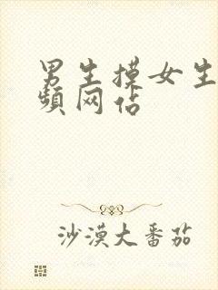 男生摸女生胸视频网站