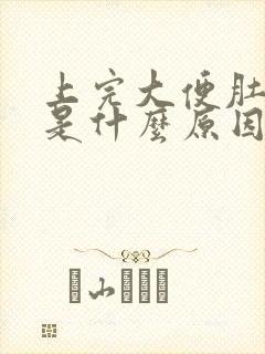 上完大便肚子疼是什么原因引起的封面