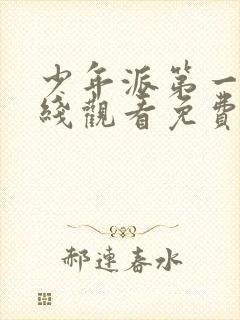 少年派第一季在线观看免费播放最新封面