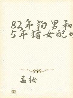 82年狗男和95年猪女配吗