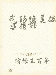 我的绝美总裁老婆杨锋封面