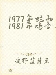 1977年蛇和1981年鸡合不合婚姻