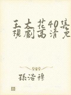 王大花40集电视剧高清免费观看封面