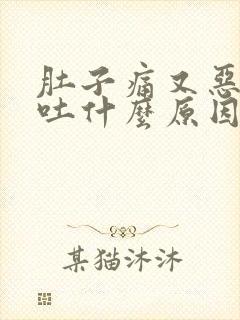 肚子痛又恶心想吐什么原因封面