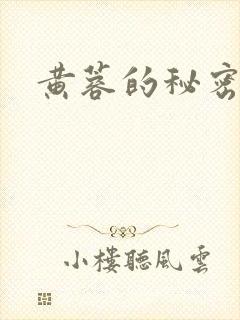 黄蓉的秘密