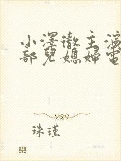 小泽彻主演的全部儿媳妇电视剧