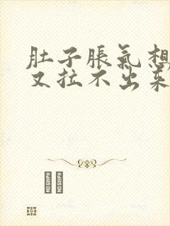 肚子胀气想拉屎又拉不出来什么原因