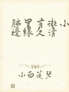 肺里有微小结节边缘久清