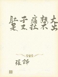 肚子痛想大便但是又拉不出来是什么原因