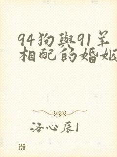94狗与91羊相配的婚姻如何呢