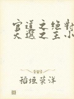 官道之绝对权力天选之主小说全篇