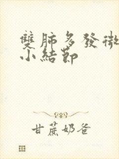 双肺多发微小,小结节