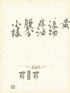 小腹疼流黄色水样分泌物