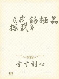 《我的极品美女总裁》