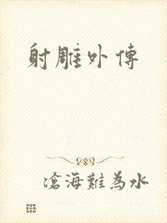 射雕外传封面