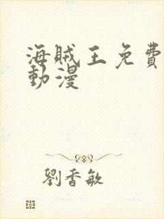 海贼王免费风之动漫