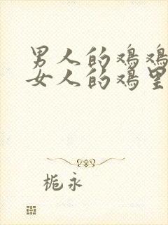 男人的鸡鸡插入女人的鸡里封面