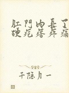 肛门内长了一个硬疙瘩疼痛