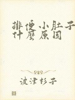 排便小肚子坠痛什么原因