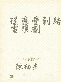 从恋爱到结婚的电视剧