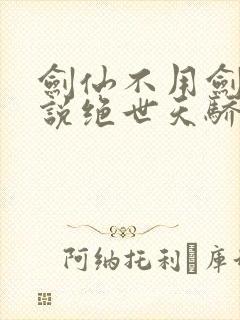 剑仙不用剑的小说绝世天骄