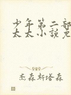 少年第二部房东太太小说免费阅读