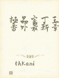 极品家丁王大根番外最新章节更新