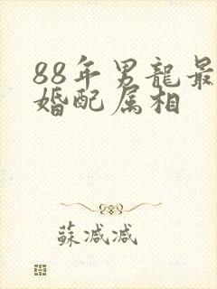 88年男龙最佳婚配属相