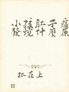 小孩肚子痛呕吐发烧什么原因引起的