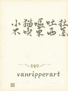 小猫呕吐拉肚子不吃东西怎么办