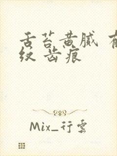 舌苔黄腻 有裂纹 齿痕