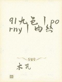 91九色丨porny丨肉丝封面