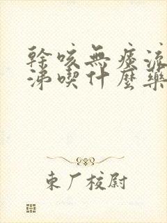 干咳无痰流清鼻涕吃什么药