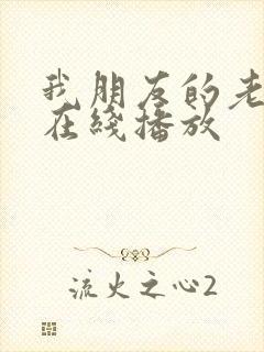 我朋友的老姐2在线播放