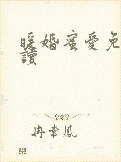 暖婚蜜爱免费阅读