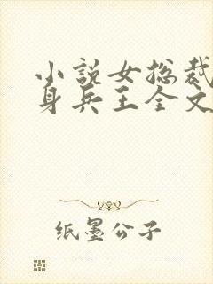 小说女总裁的贴身兵王全文阅读封面