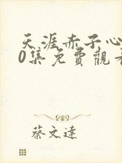 天涯赤子心第30集免费观看