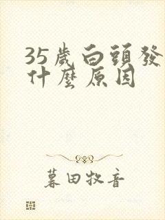 35岁白头发多什么原因