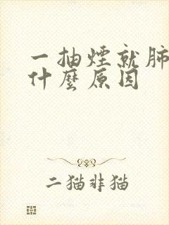 一抽烟就肺疼是什么原因