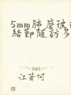 5mm肺磨玻璃结节随访多久才安全封面