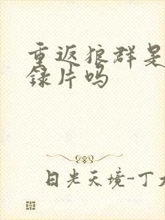 重返狼群是伪纪录片吗